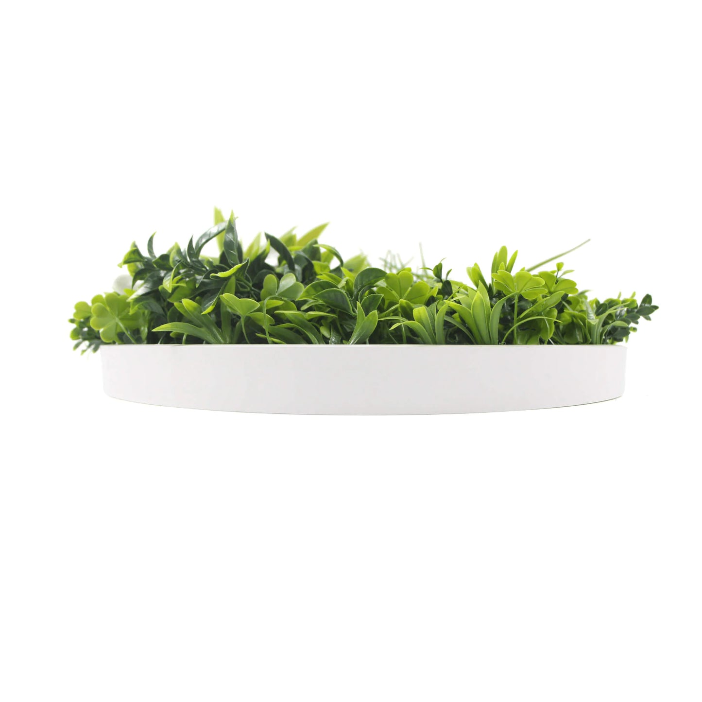 Artificial Green Wall Disc 20" with White Frame, UV Resistant Faux Plant, Safe for Family and Pets, Eco-Friendly Living Wall Art