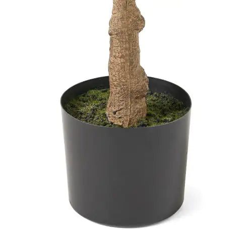 Artificial Violin Leaf Fig Tree - Pre-Potted Faux Plant 59" Tall