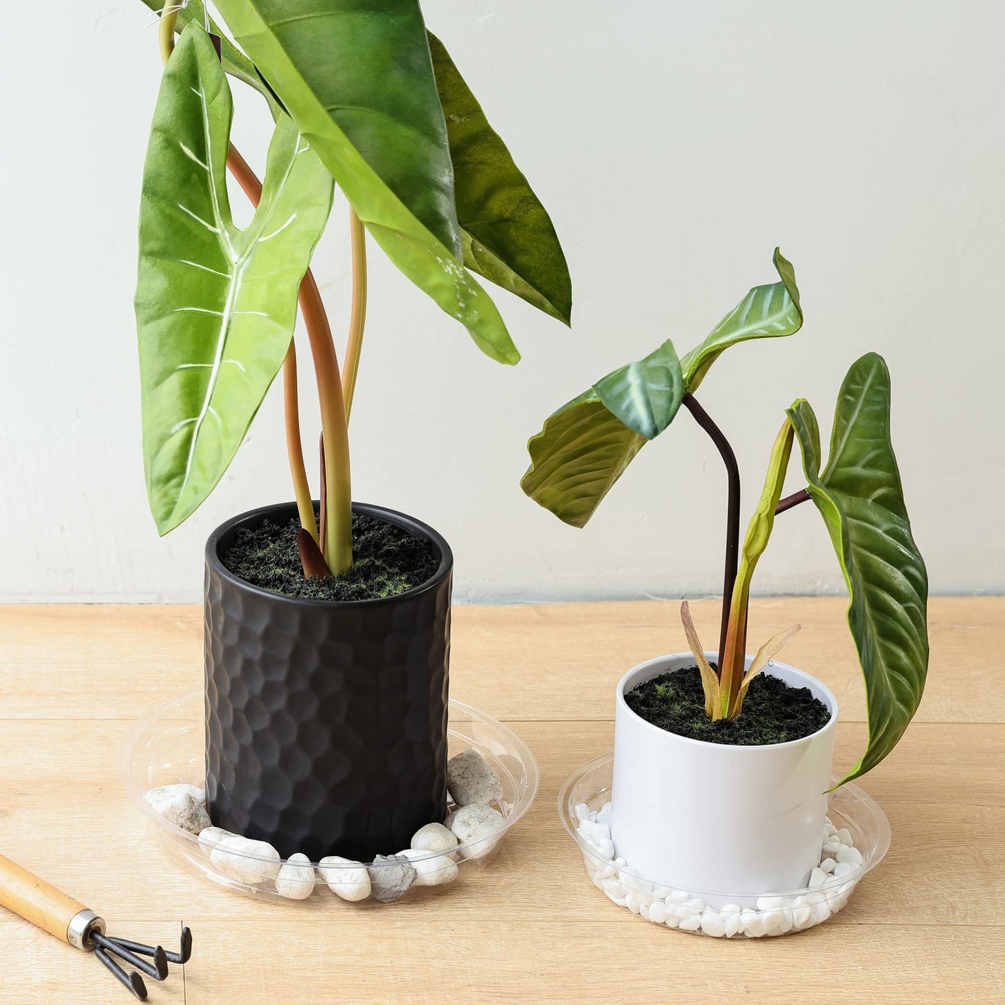 TRUEDAYS 20 Pack Plant Saucers (6 inch / 8inch / 10inch / 12inch) Clear Plant Saucers Flower Pot Tray Excellent for Indoor & Outdoor Plants