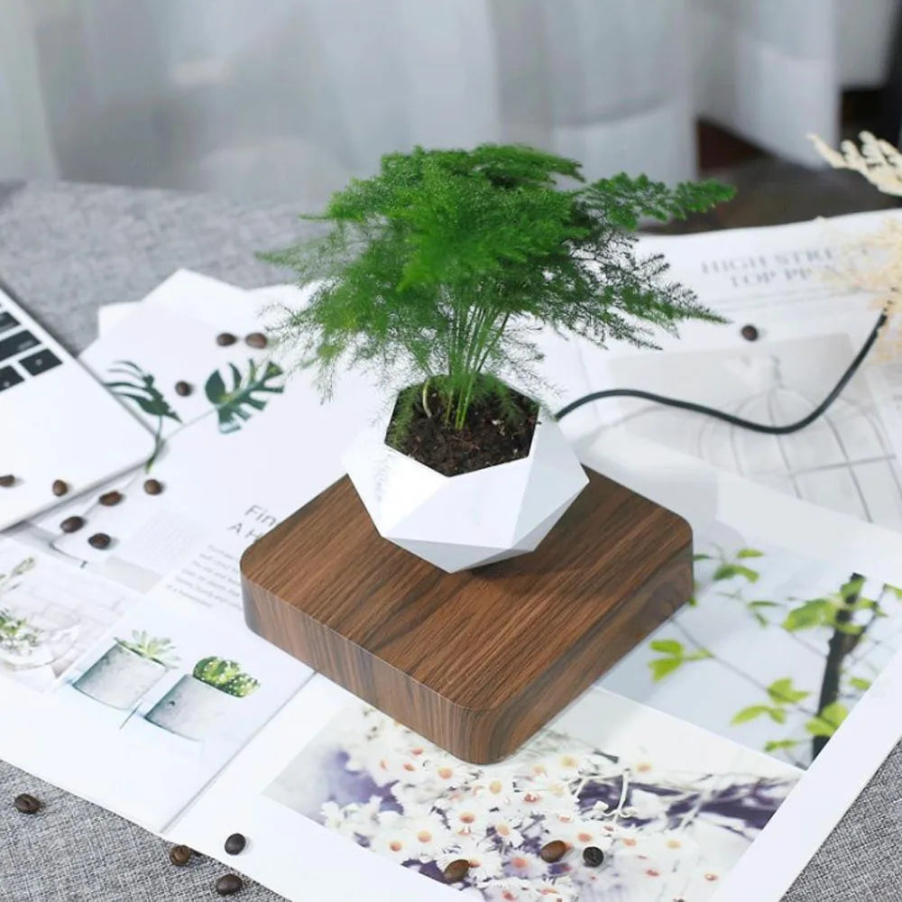 LevitoSphere Magnetic Bonsai Planter -SHS101