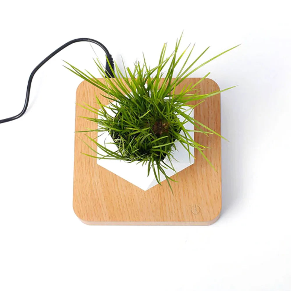 LevitoSphere Magnetic Bonsai Planter -SHS101