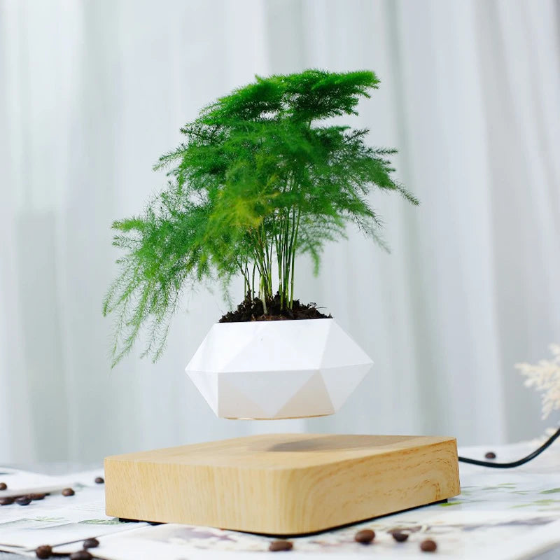 LevitoSphere Magnetic Bonsai Planter -SHS101
