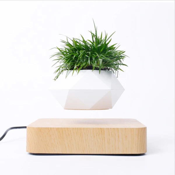 LevitoSphere Magnetic Bonsai Planter -SHS101
