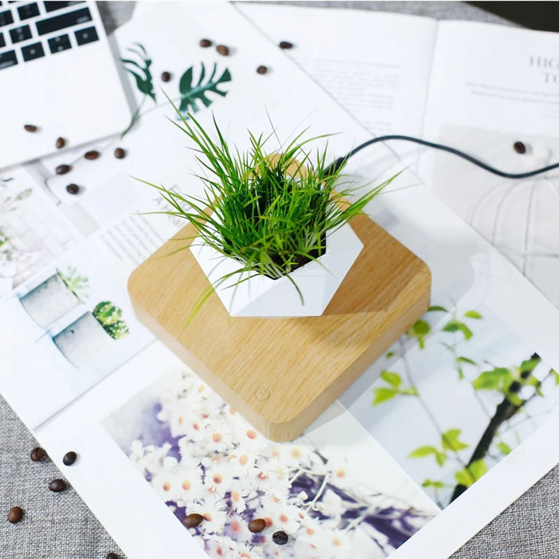 LevitoSphere Magnetic Bonsai Planter -SHS101