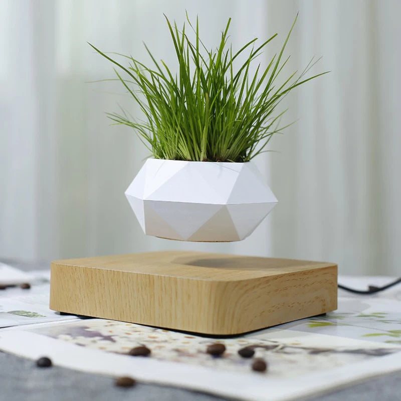 LevitoSphere Magnetic Bonsai Planter -SHS101