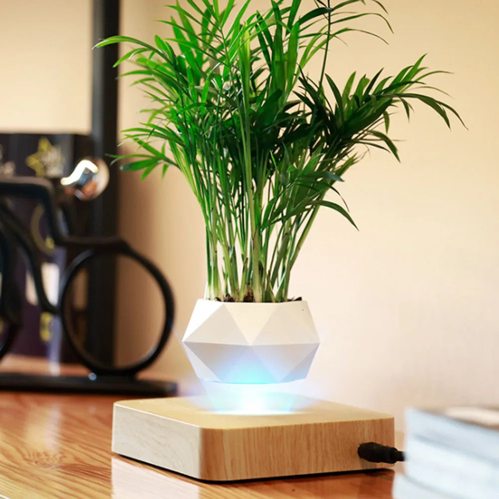 LevitoSphere Magnetic Bonsai Planter -SHS101