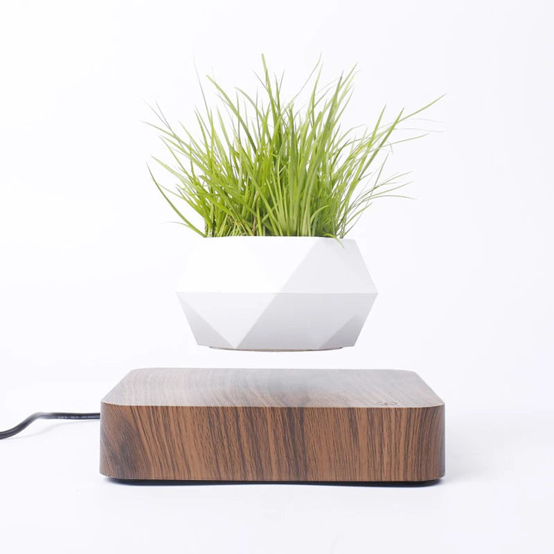 LevitoSphere Magnetic Bonsai Planter -SHS101