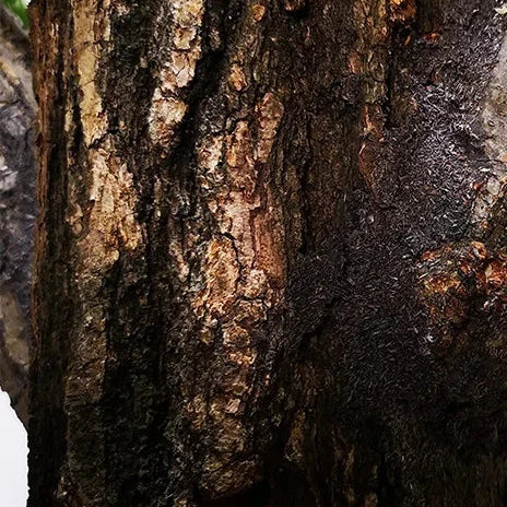 Simulation Willow Branches and Leaves Decoration – Artificial Fake Tree for Home & Store Décor -SHS803