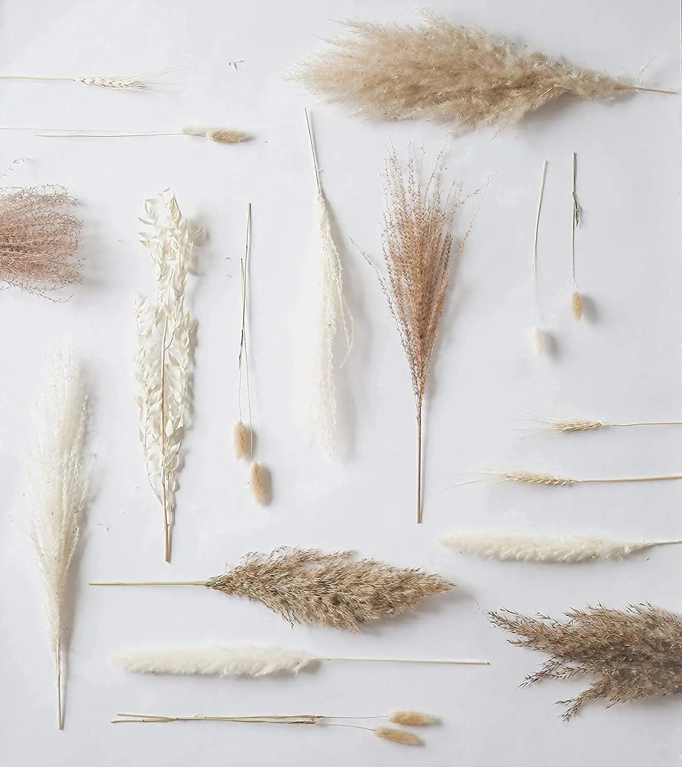 WES 30pcs Dried Boho Luxe Pampas Grass Bundle -SHS111