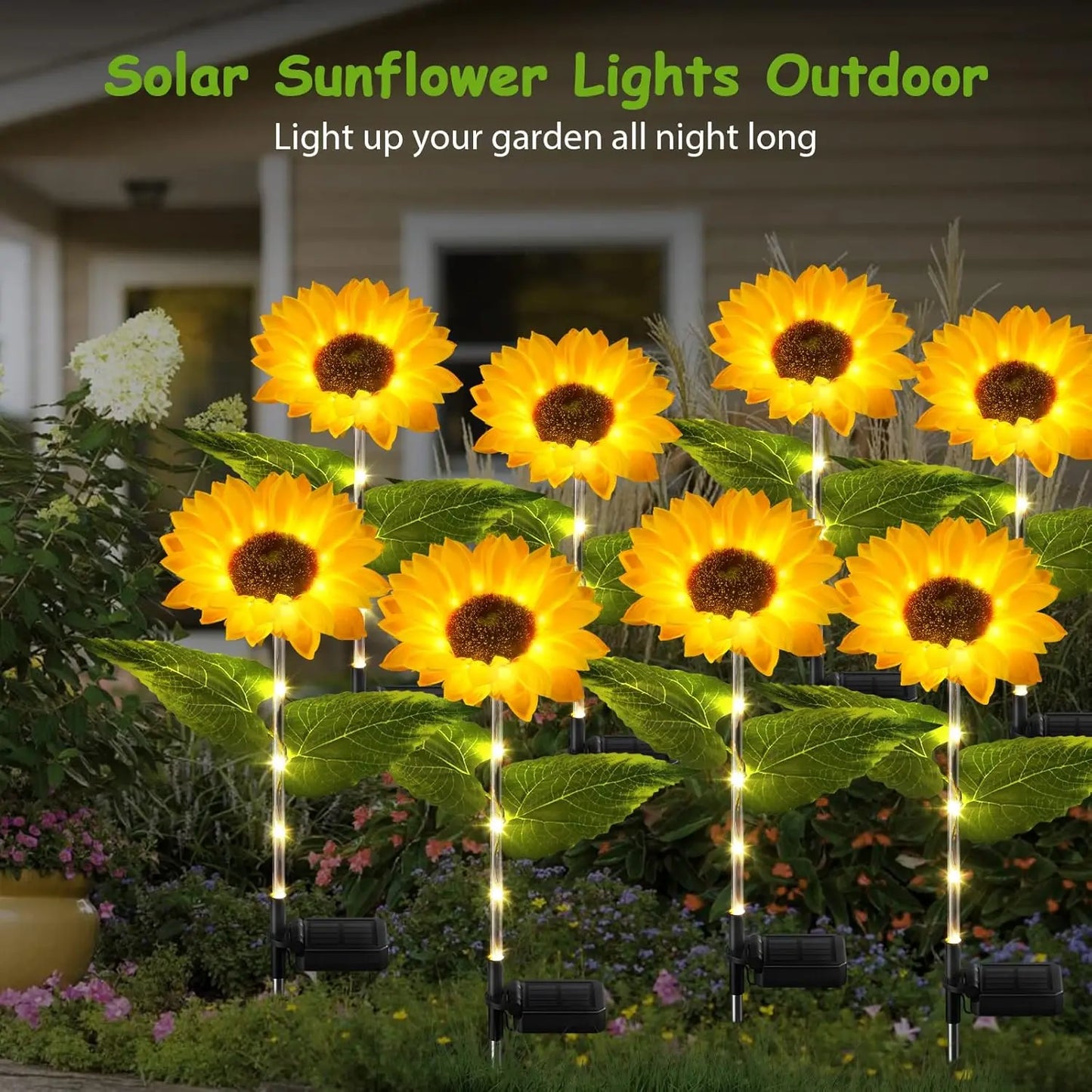 Solar Sunflower Delight 4 Pack - SHS242