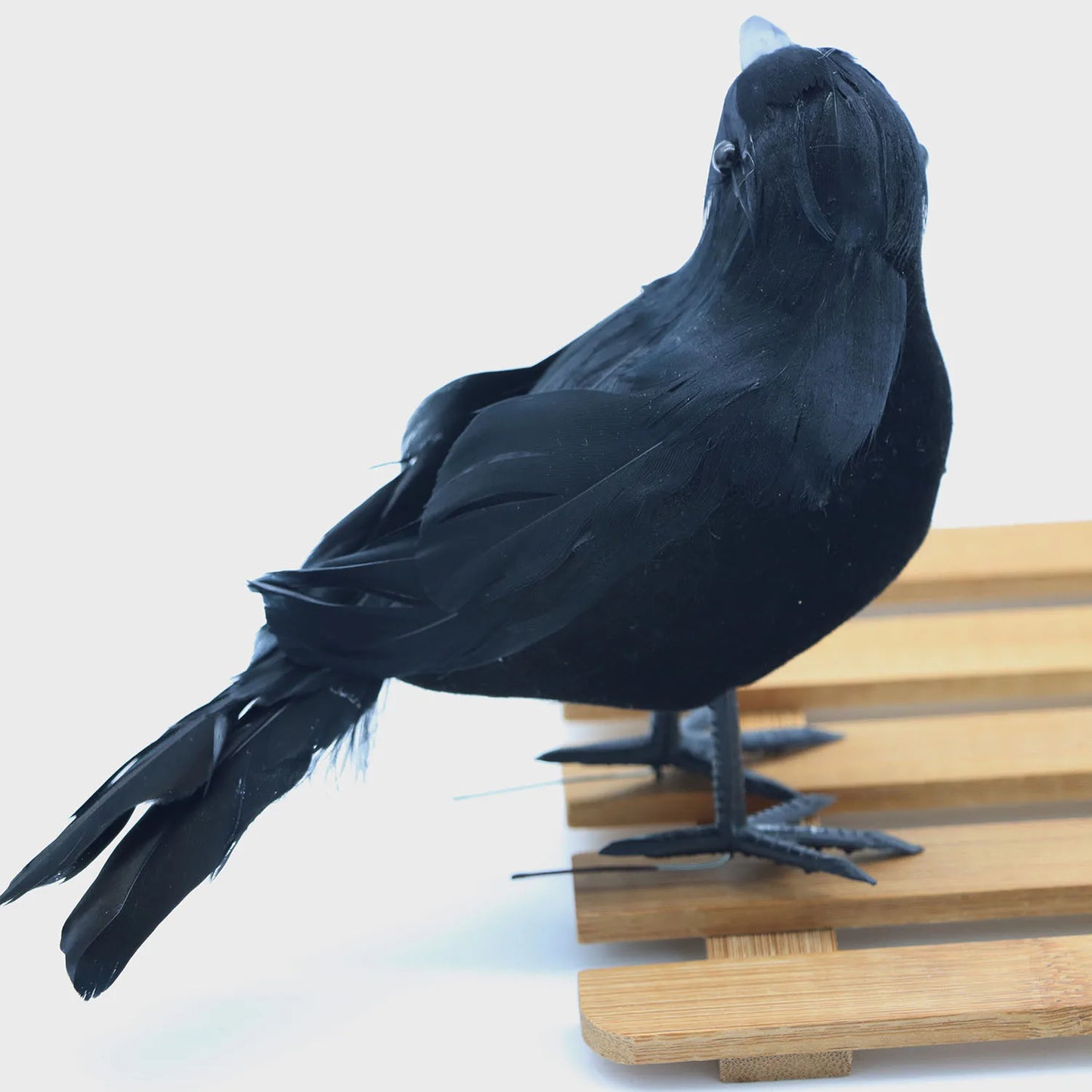 Lifesize Scarecrow Raven -SHS15