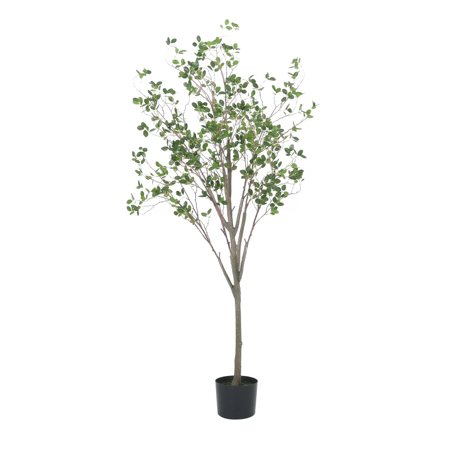 Artificial Milano Leaf Bonsai Tree – Pre-Potted Foliage Tree, 59" Tall
