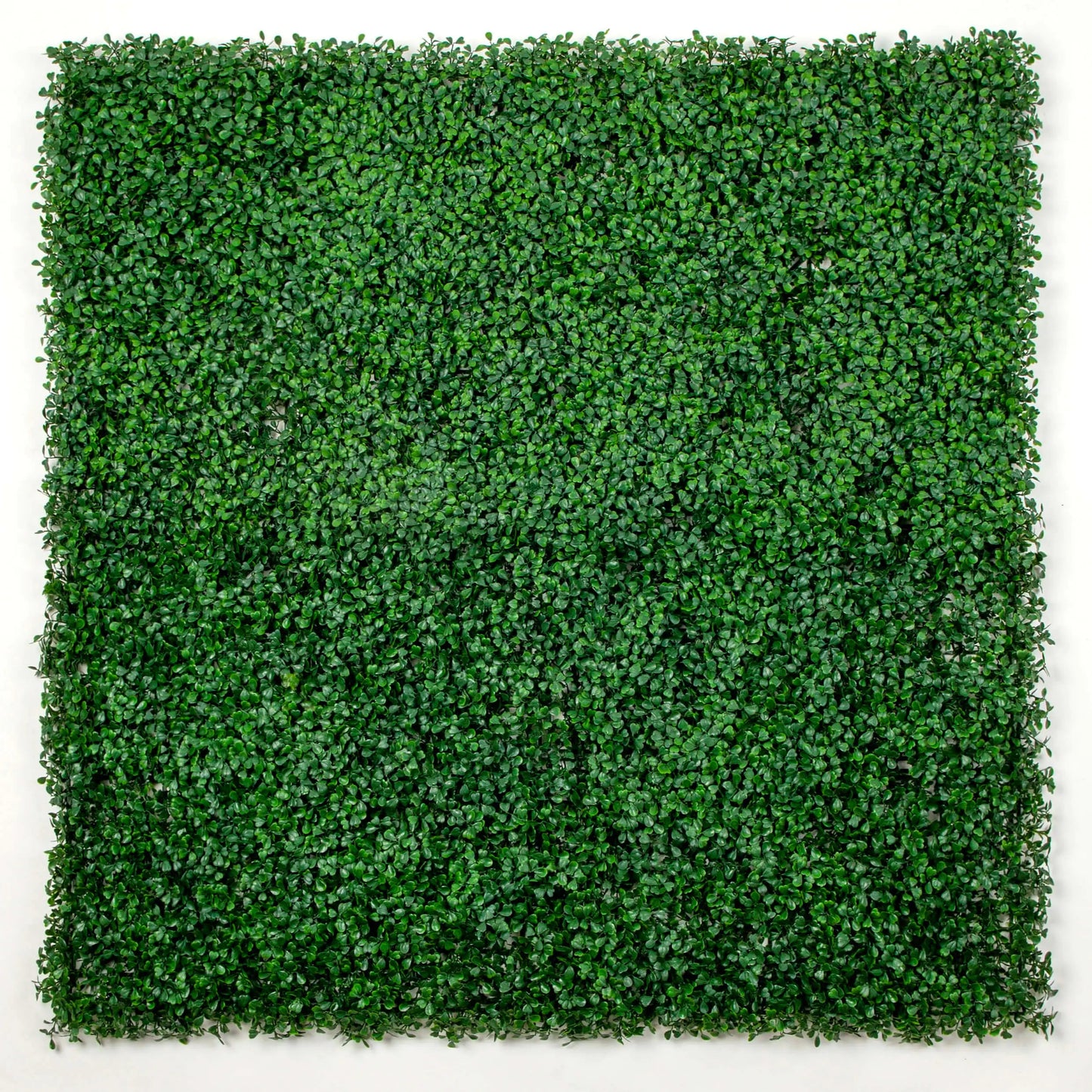 Artificial Boxwood Green Wall Panel - 33 SQ FT UV Resistant Privacy Fence Hedges