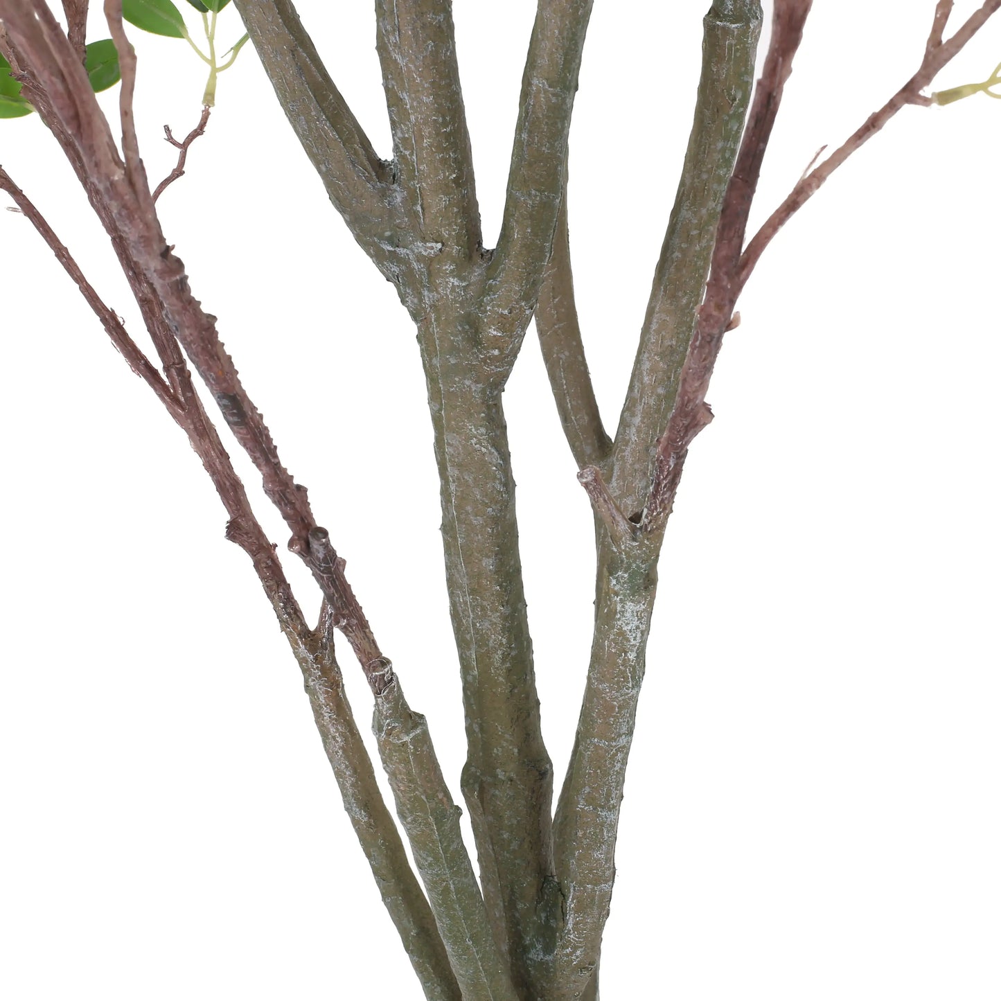 Artificial Milano Leaf Bonsai Tree – Pre-Potted Foliage Tree, 59" Tall