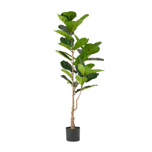 Artificial Violin Leaf Fig Tree - Pre-Potted Faux Plant 59" Tall