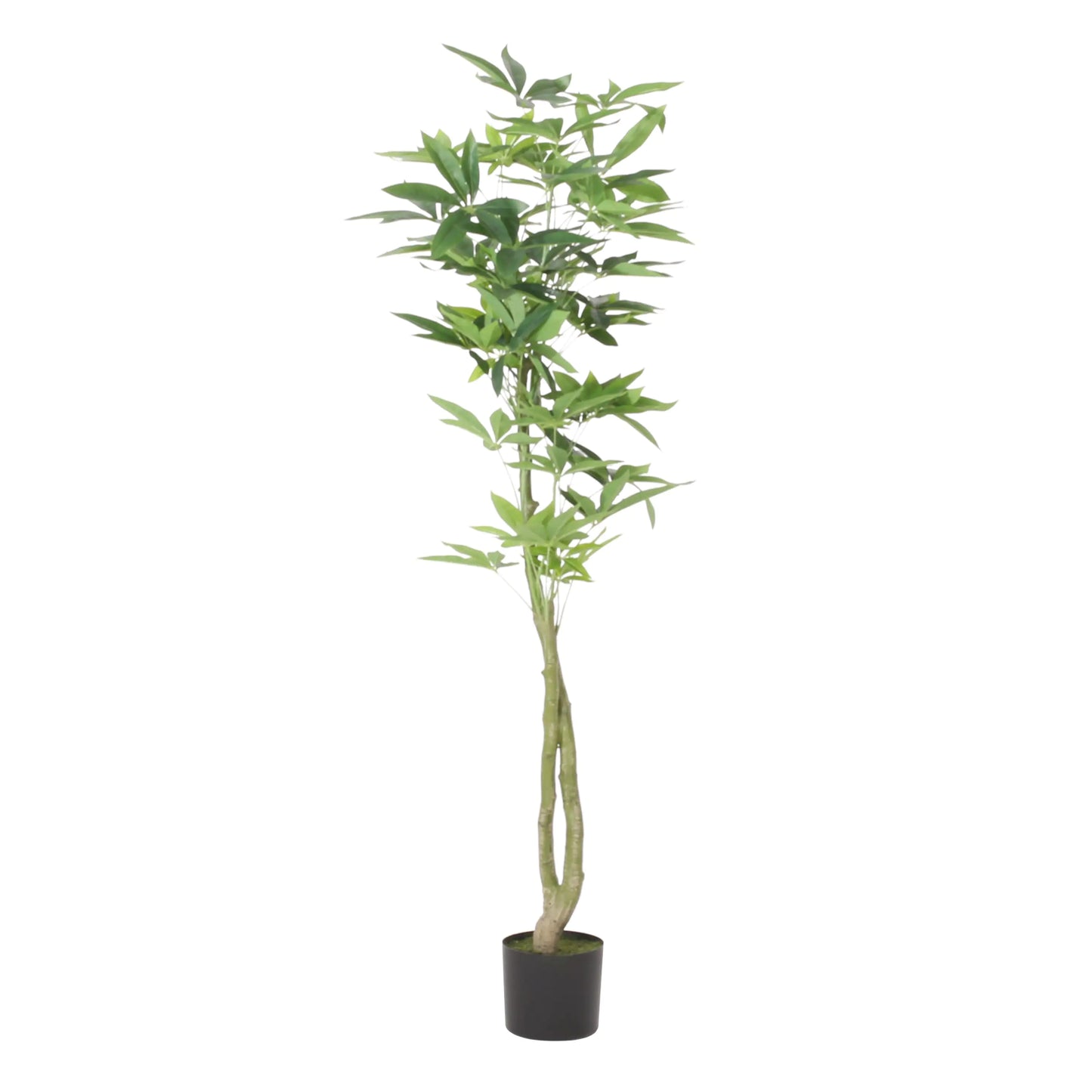 Artificial Pachira Macrocarpa Money Tree – Pre-Potted Feng Shui Plant, 63" Tall