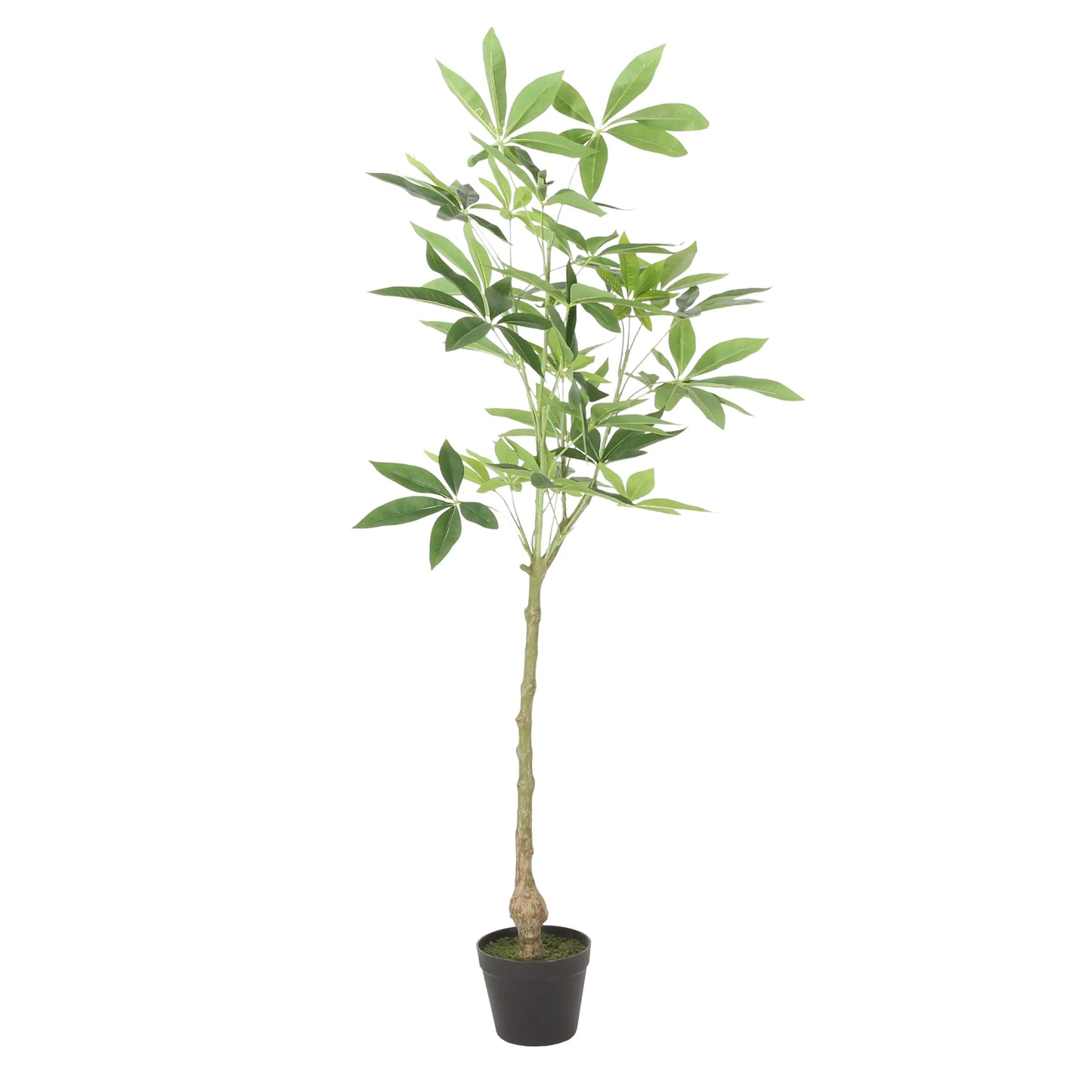 Artificial Pachira Macrocarpa Money Tree - Green Faux Plant for Feng Shui & Home Décor