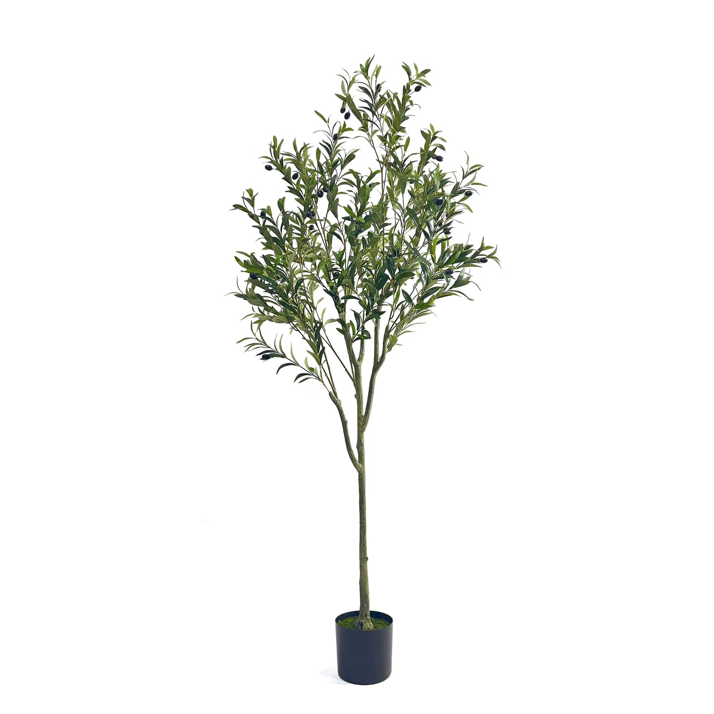 Artificial Olive Tree - Lifelike Indoor Decorative Plant with Silvery Green Leaves and Purple Olives, Pre-Potted, 71" Tall