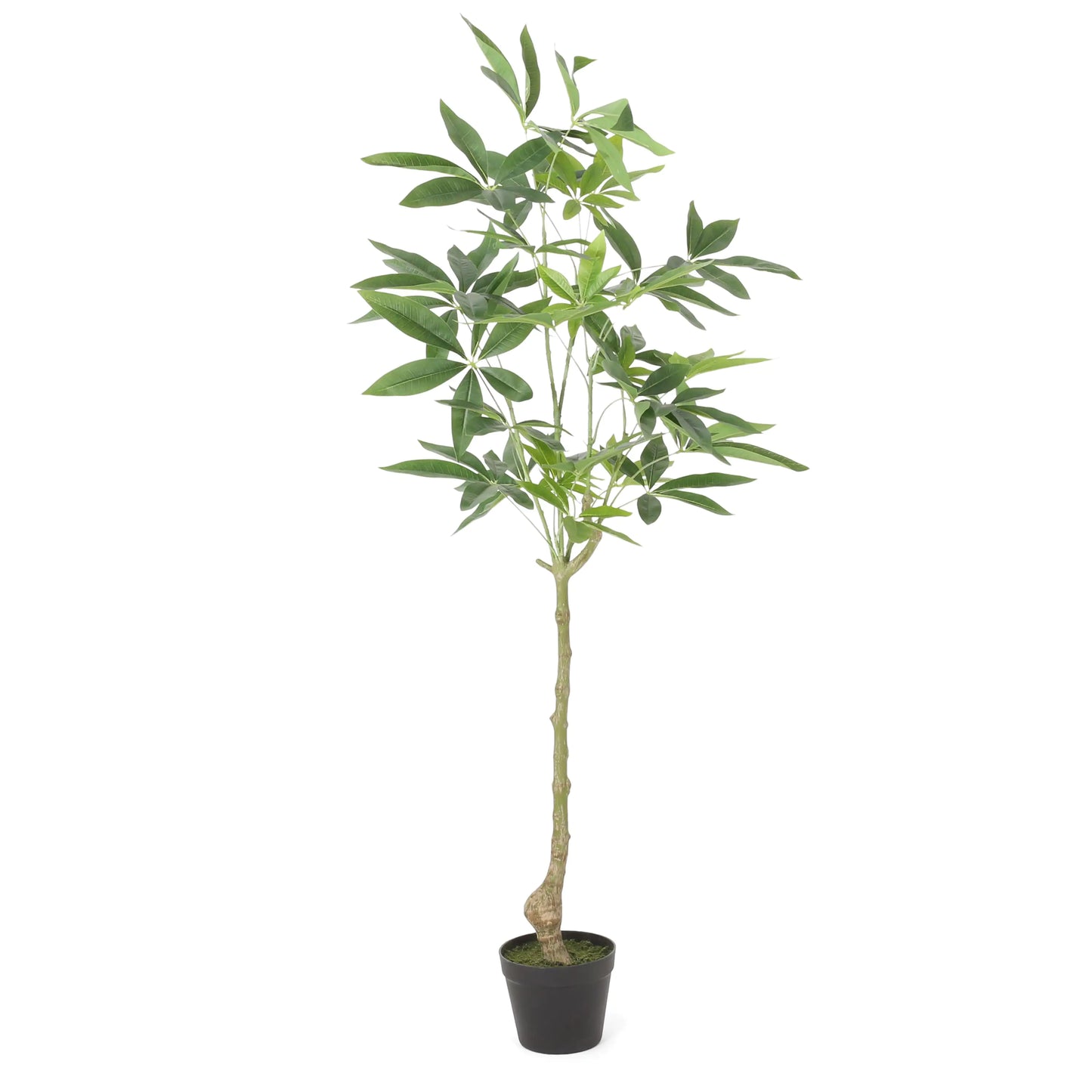 Artificial Pachira Macrocarpa Money Tree - Green Faux Plant for Feng Shui & Home Décor