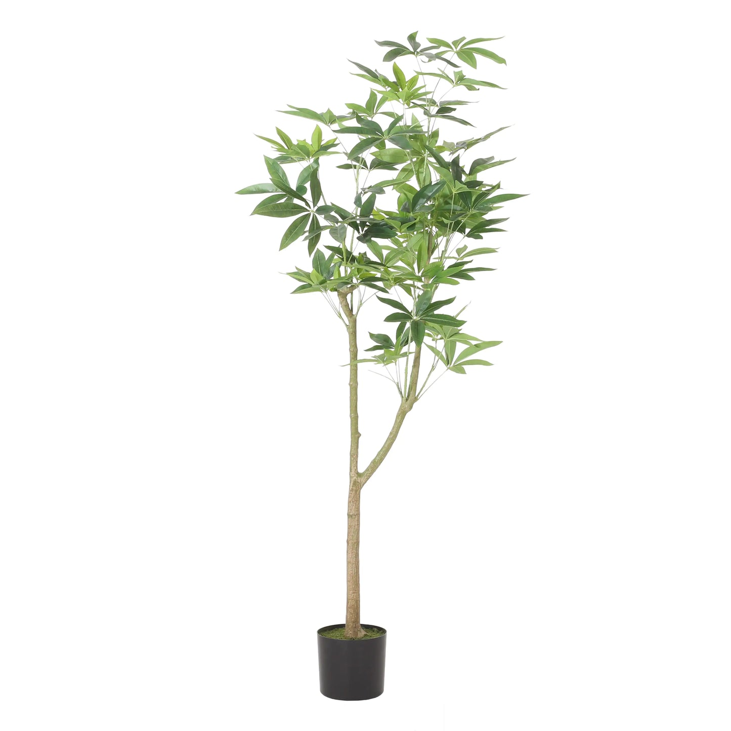 Artificial Large Pachila Money Tree - Green Faux Plant for Feng Shui & Home Décor