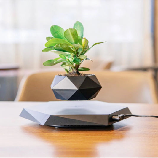 LevitoSphere Magnetic Bonsai Planter -SHS101