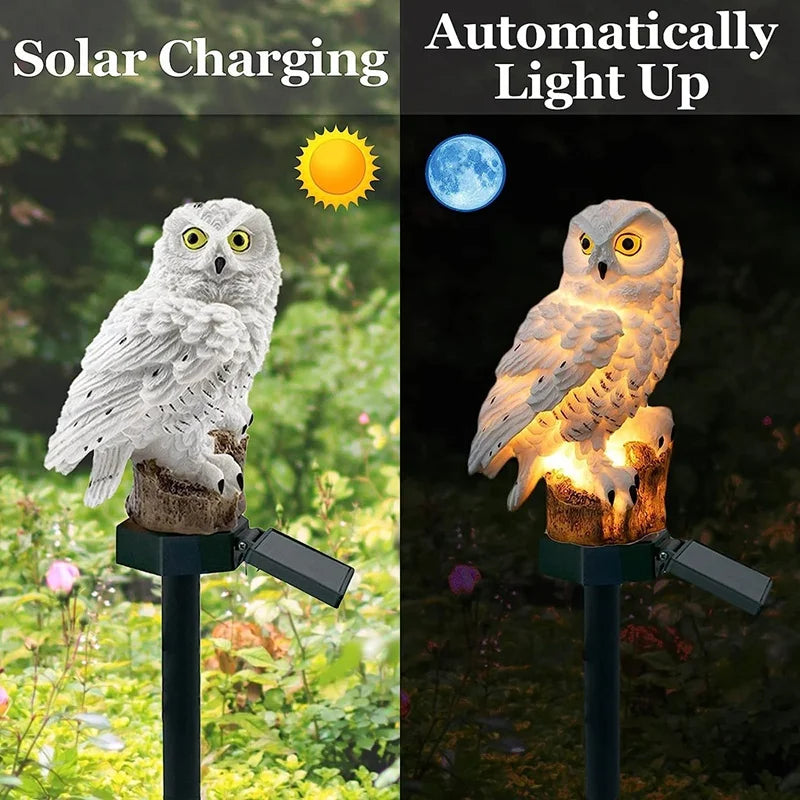 Solar Owl Patio Light -SHS202