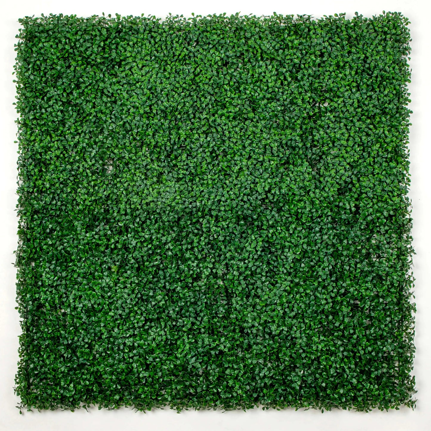 Artificial Boxwood Green Wall Panel - 33 SQ FT UV Resistant Privacy Fence Hedges